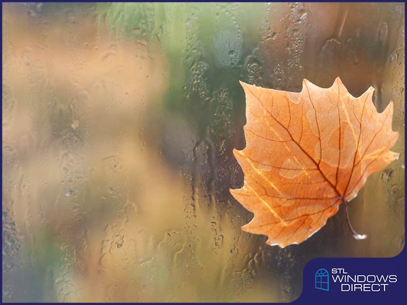 What Should Be in Your Fall Window Cleaning Checklist?